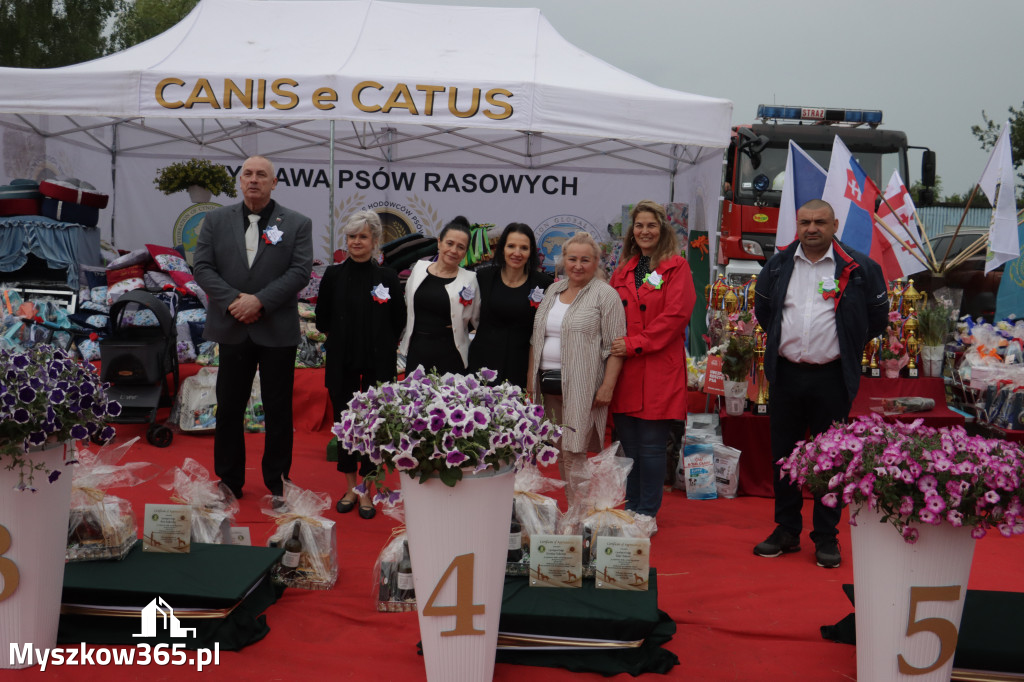 Fotorelacja: Międzynarodowa Wystawa Psów Rasowych w Poraju