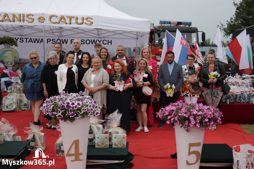Fotorelacja: Międzynarodowa Wystawa Psów Rasowych w Poraju