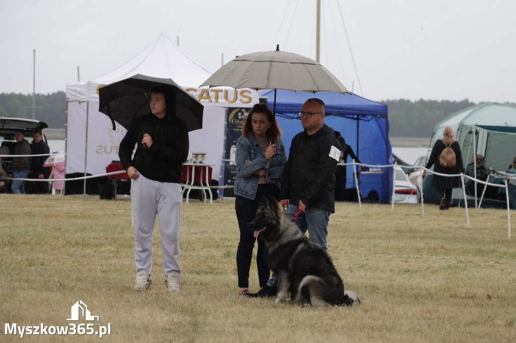 Fotorelacja: Międzynarodowa Wystawa Psów Rasowych w Poraju