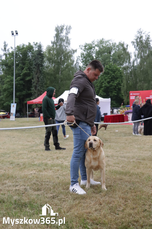 Fotorelacja: Międzynarodowa Wystawa Psów Rasowych w Poraju