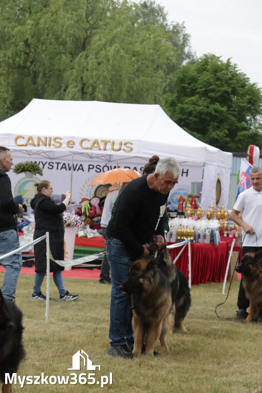 Fotorelacja: Międzynarodowa Wystawa Psów Rasowych w Poraju