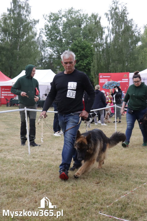 Fotorelacja: Międzynarodowa Wystawa Psów Rasowych w Poraju