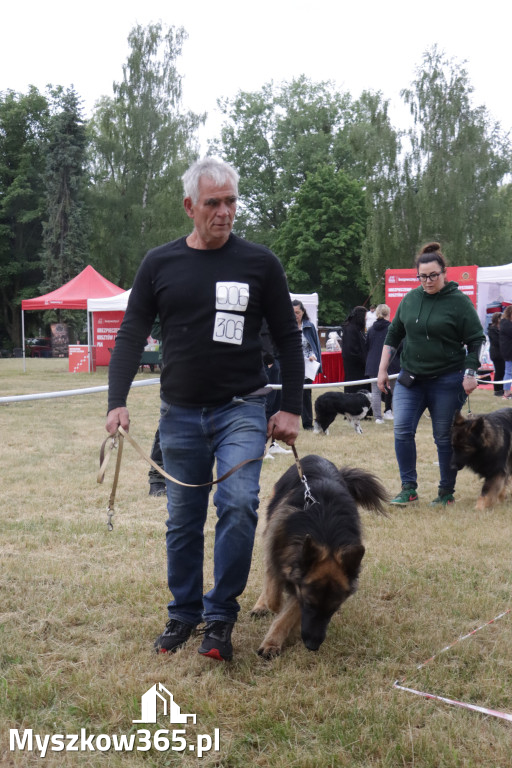 Fotorelacja: Międzynarodowa Wystawa Psów Rasowych w Poraju