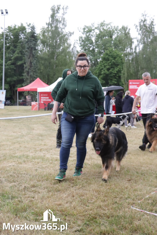 Fotorelacja: Międzynarodowa Wystawa Psów Rasowych w Poraju