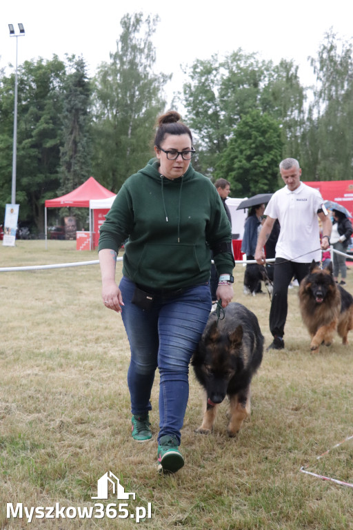 Fotorelacja: Międzynarodowa Wystawa Psów Rasowych w Poraju