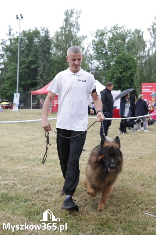 Fotorelacja: Międzynarodowa Wystawa Psów Rasowych w Poraju