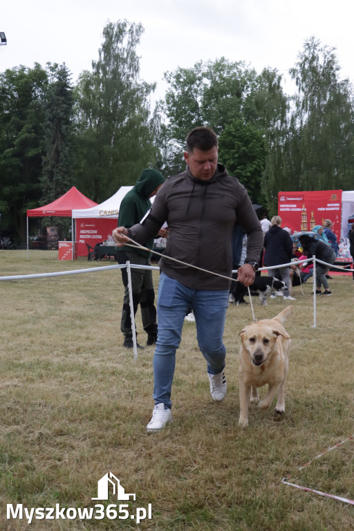 Fotorelacja: Międzynarodowa Wystawa Psów Rasowych w Poraju