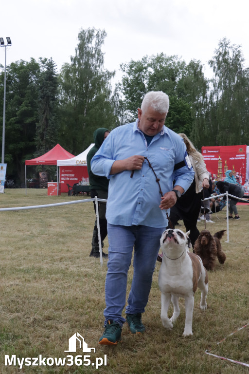 Fotorelacja: Międzynarodowa Wystawa Psów Rasowych w Poraju