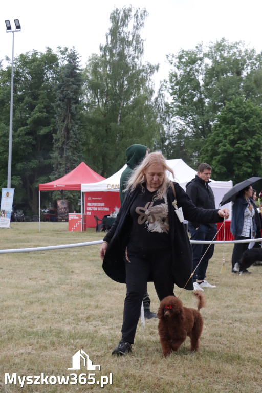 Fotorelacja: Międzynarodowa Wystawa Psów Rasowych w Poraju
