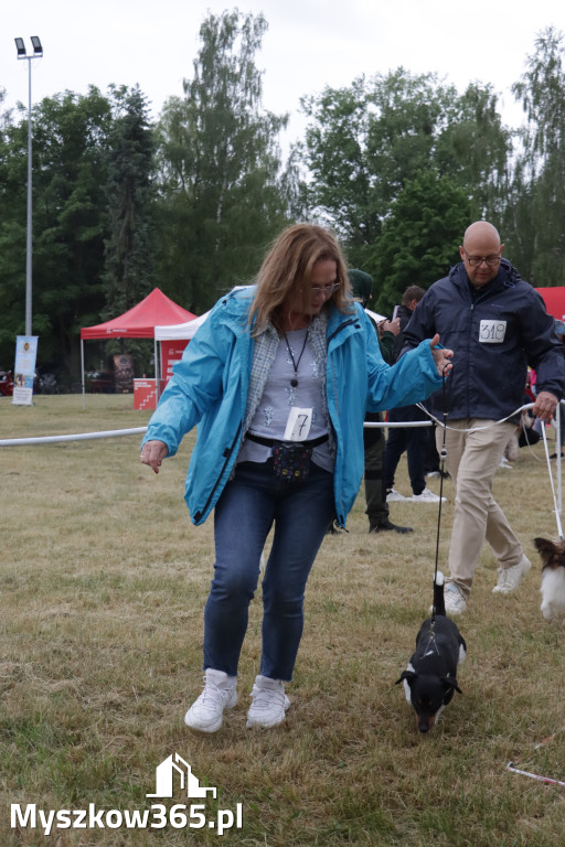 Fotorelacja: Międzynarodowa Wystawa Psów Rasowych w Poraju