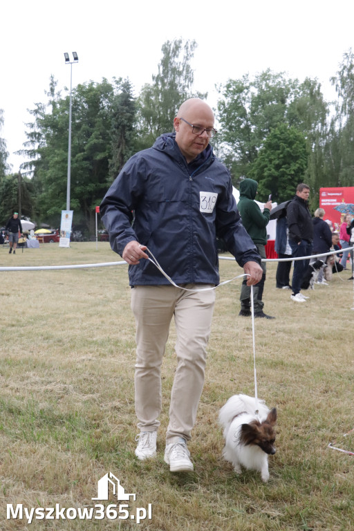 Fotorelacja: Międzynarodowa Wystawa Psów Rasowych w Poraju