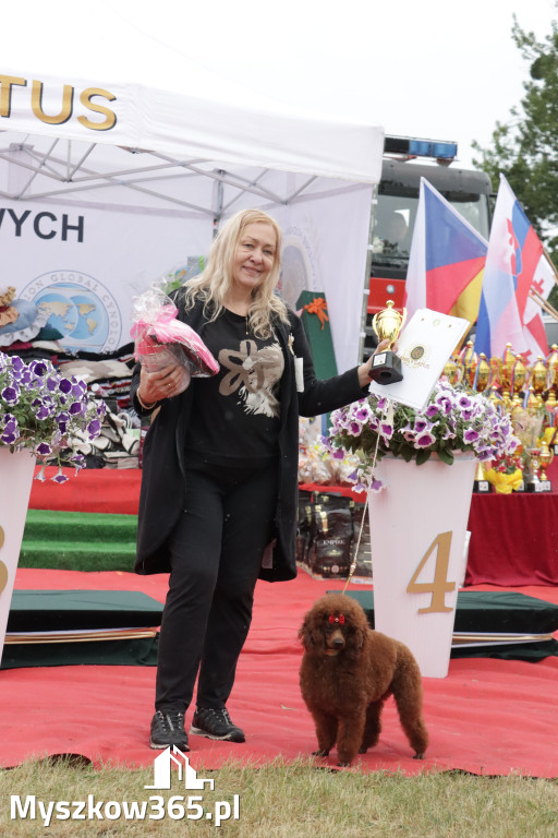 Fotorelacja: Międzynarodowa Wystawa Psów Rasowych w Poraju