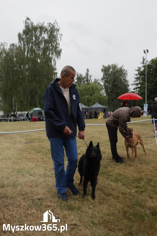 Fotorelacja: Międzynarodowa Wystawa Psów Rasowych w Poraju