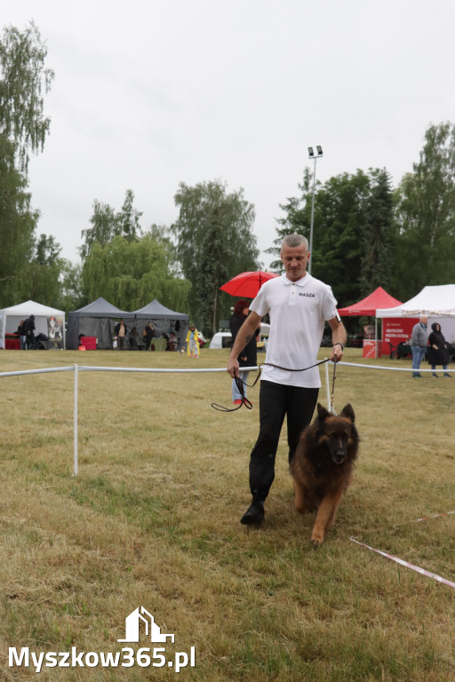 Fotorelacja: Międzynarodowa Wystawa Psów Rasowych w Poraju