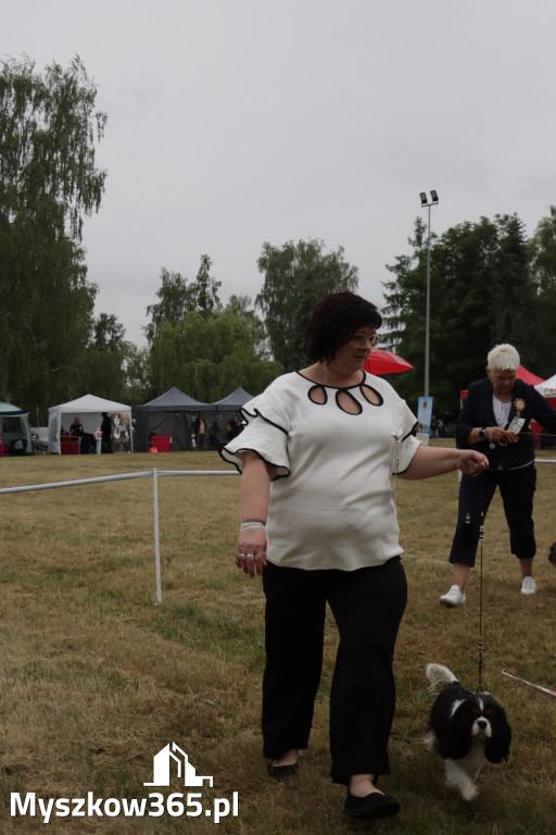 Fotorelacja: Międzynarodowa Wystawa Psów Rasowych w Poraju