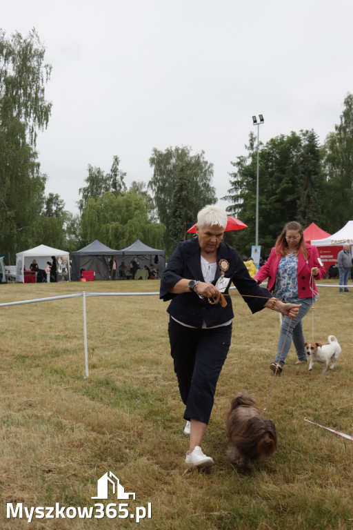 Fotorelacja: Międzynarodowa Wystawa Psów Rasowych w Poraju