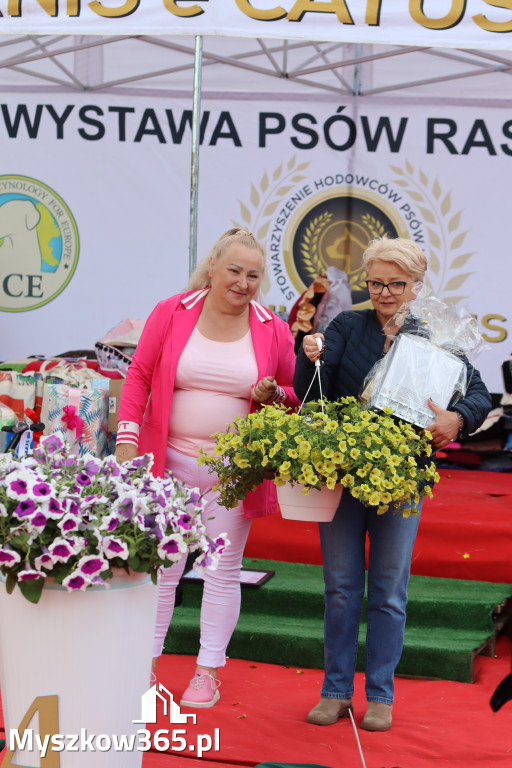 Fotorelacja: Międzynarodowa Wystawa Psów Rasowych w Poraju