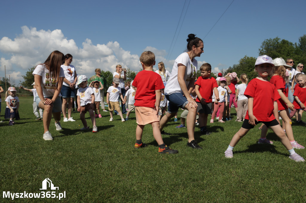 Fotorelacja I: Gminna Spartakiada Przedszkolaków w Poraju