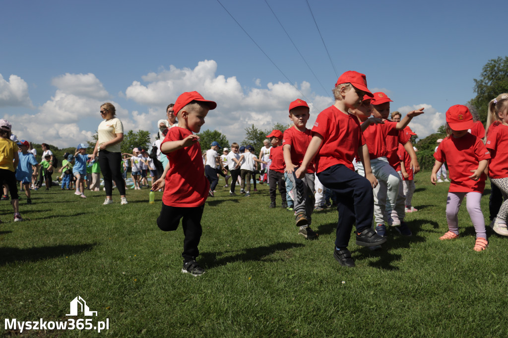 Fotorelacja I: Gminna Spartakiada Przedszkolaków w Poraju
