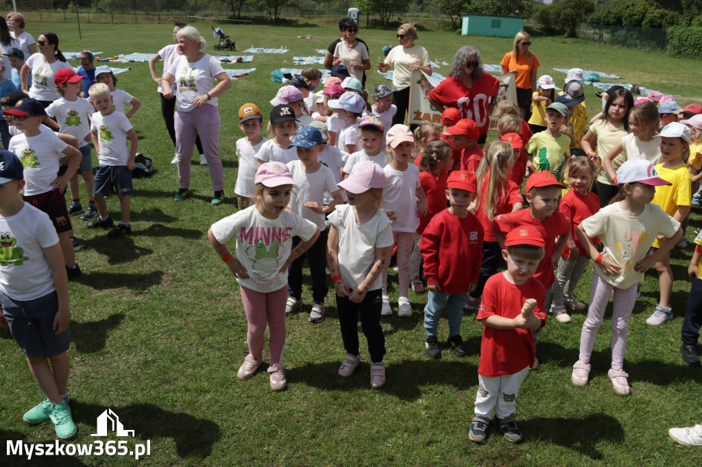 Fotorelacja II: Gminna Spartakiada Przedszkolaków w Poraju