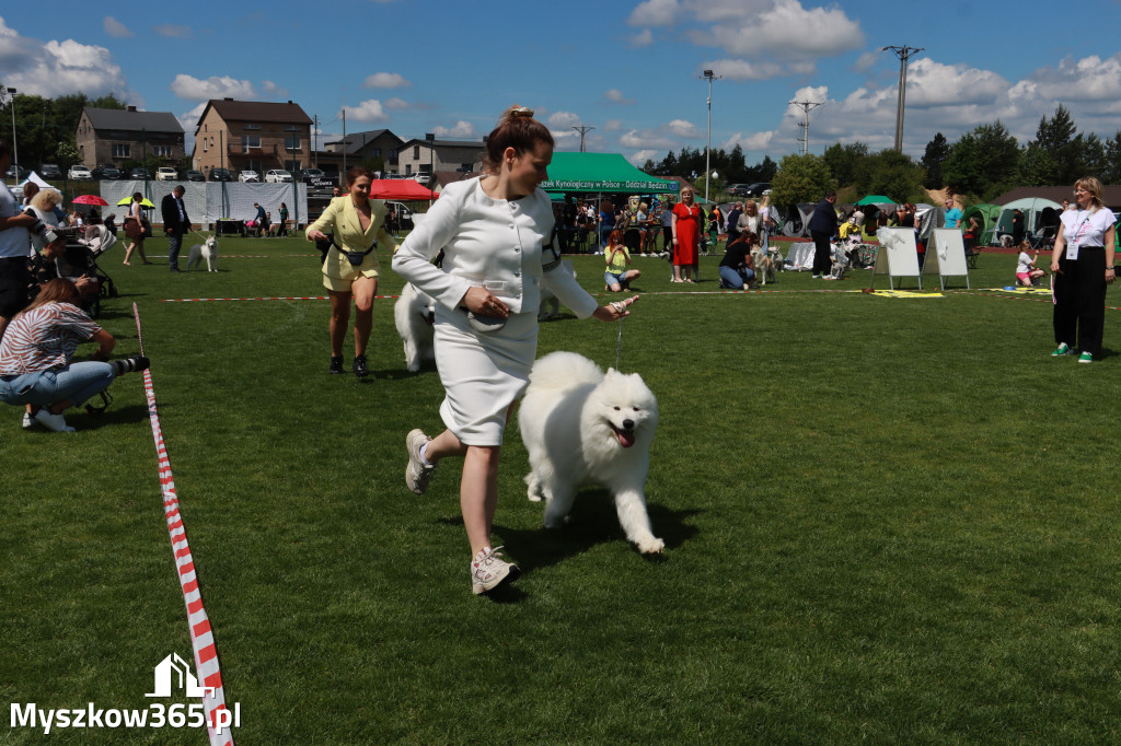 Fotorelacja I: Krajowa Wystawa Psów Rasowych w Gniazdowie Gmina Koziegłowy