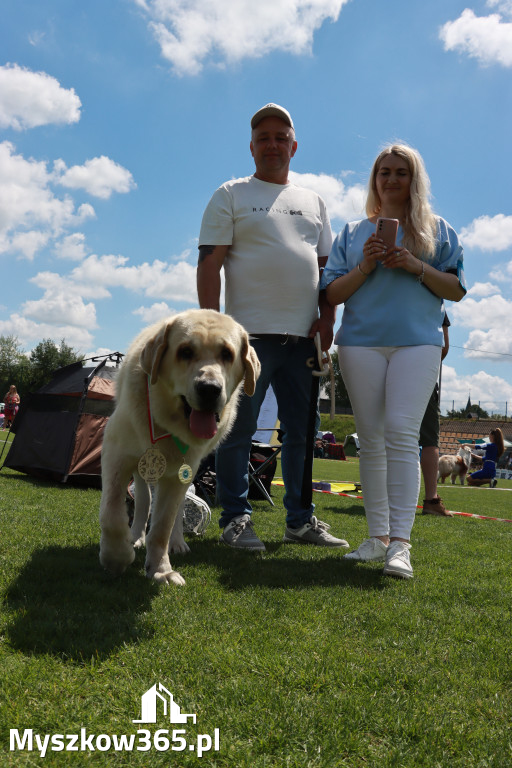 Fotorelacja I: Krajowa Wystawa Psów Rasowych w Gniazdowie Gmina Koziegłowy