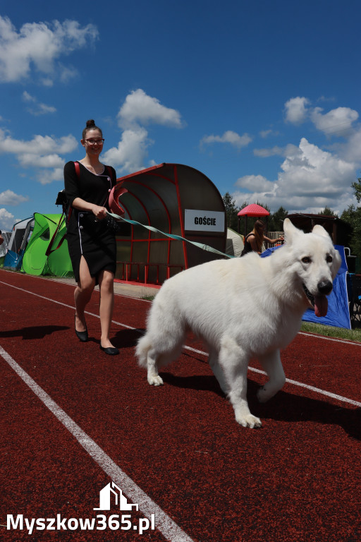 Fotorelacja I: Krajowa Wystawa Psów Rasowych w Gniazdowie Gmina Koziegłowy