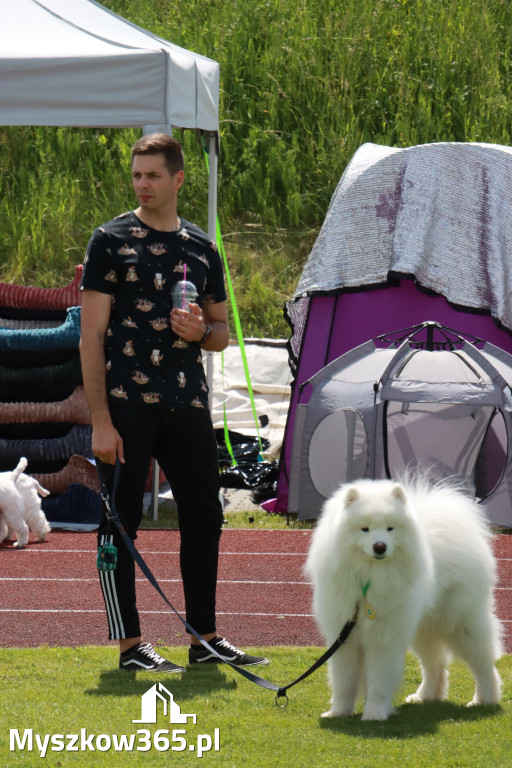 Fotorelacja I: Krajowa Wystawa Psów Rasowych w Gniazdowie Gmina Koziegłowy