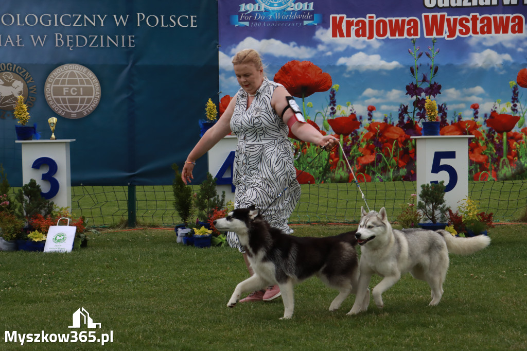 Fotorelacja I: Krajowa Wystawa Psów Rasowych w Gniazdowie Gmina Koziegłowy