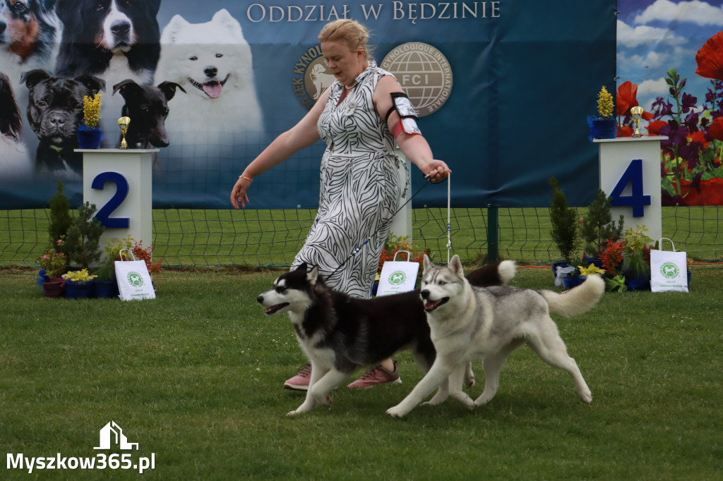 Fotorelacja I: Krajowa Wystawa Psów Rasowych w Gniazdowie Gmina Koziegłowy