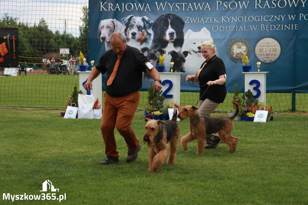 Fotorelacja I: Krajowa Wystawa Psów Rasowych w Gniazdowie Gmina Koziegłowy