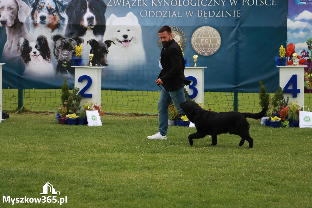 Fotorelacja I: Krajowa Wystawa Psów Rasowych w Gniazdowie Gmina Koziegłowy
