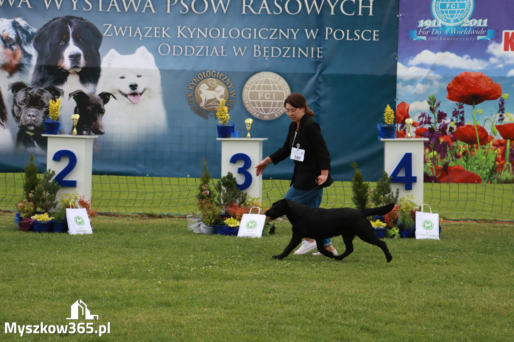 Fotorelacja I: Krajowa Wystawa Psów Rasowych w Gniazdowie Gmina Koziegłowy