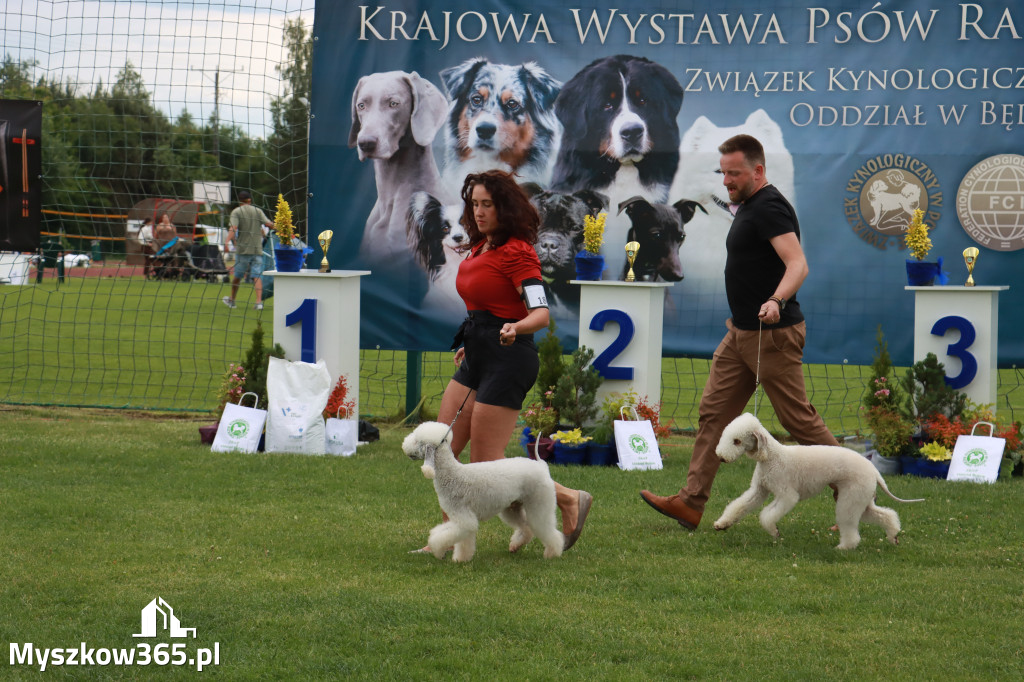 Fotorelacja I: Krajowa Wystawa Psów Rasowych w Gniazdowie Gmina Koziegłowy