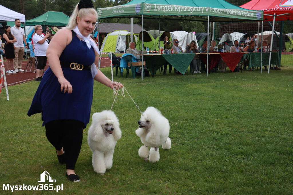 Fotorelacja I: Krajowa Wystawa Psów Rasowych w Gniazdowie Gmina Koziegłowy