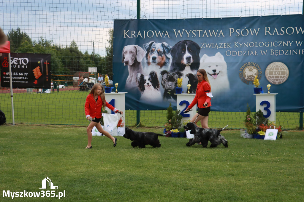 Fotorelacja I: Krajowa Wystawa Psów Rasowych w Gniazdowie Gmina Koziegłowy