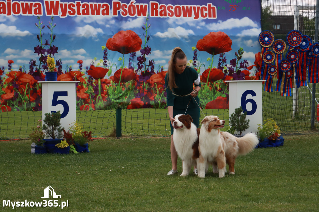 Fotorelacja I: Krajowa Wystawa Psów Rasowych w Gniazdowie Gmina Koziegłowy