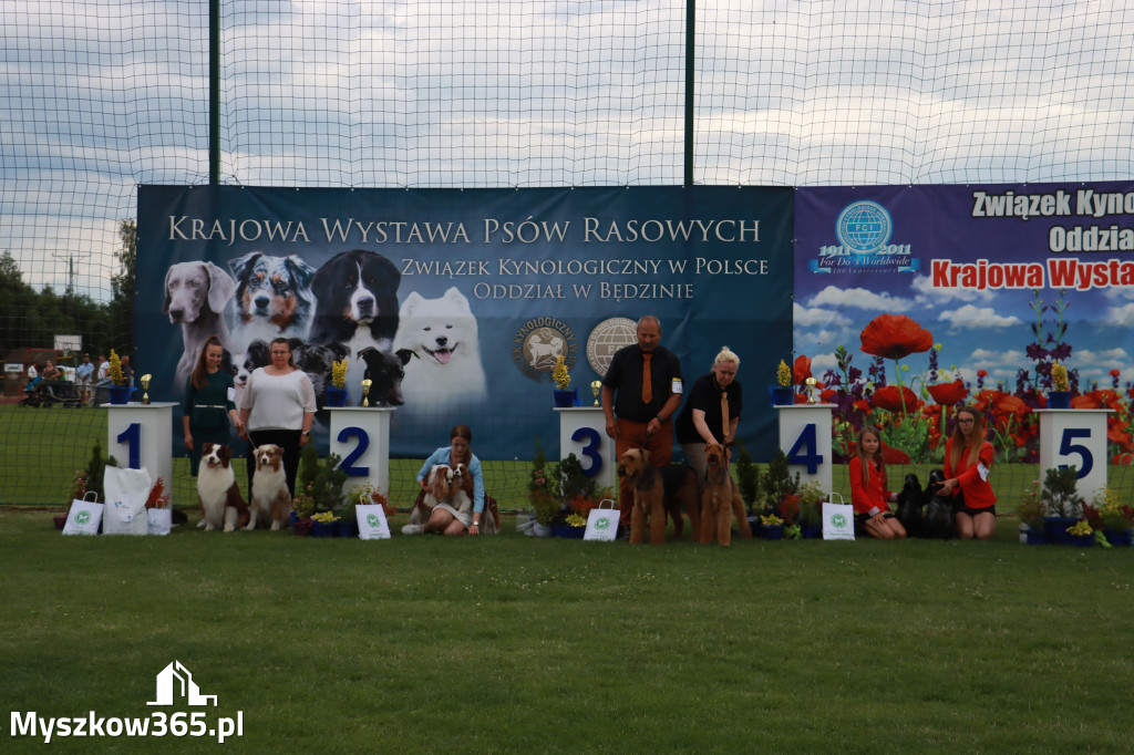 Fotorelacja I: Krajowa Wystawa Psów Rasowych w Gniazdowie Gmina Koziegłowy