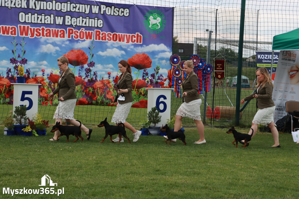 Fotorelacja I: Krajowa Wystawa Psów Rasowych w Gniazdowie Gmina Koziegłowy