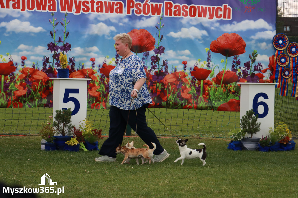 Fotorelacja I: Krajowa Wystawa Psów Rasowych w Gniazdowie Gmina Koziegłowy