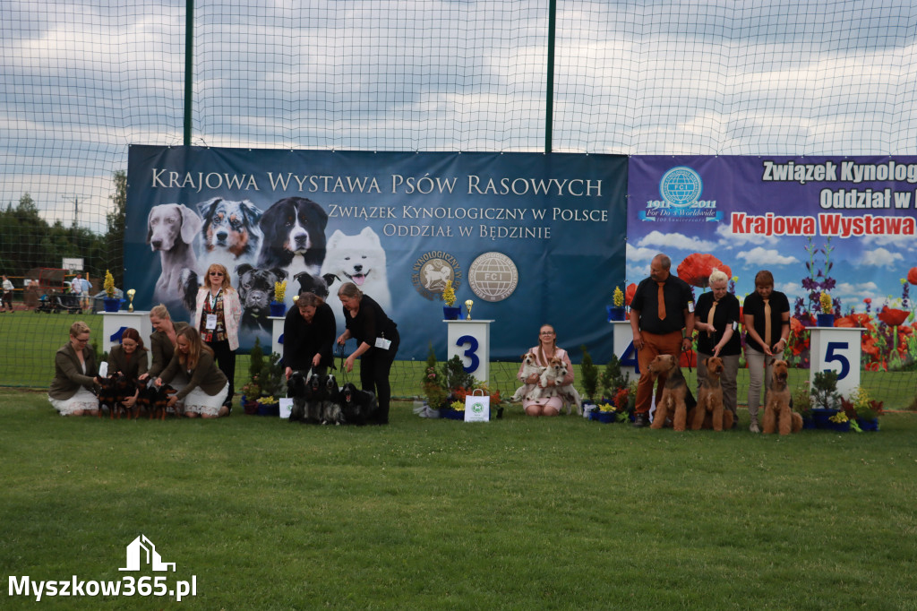 Fotorelacja I: Krajowa Wystawa Psów Rasowych w Gniazdowie Gmina Koziegłowy