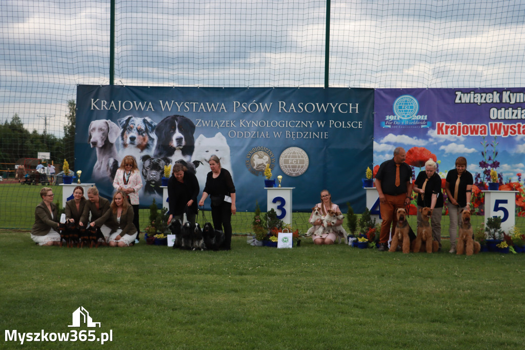 Fotorelacja I: Krajowa Wystawa Psów Rasowych w Gniazdowie Gmina Koziegłowy