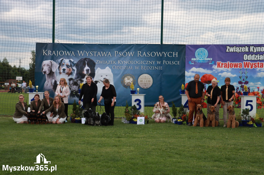 Fotorelacja I: Krajowa Wystawa Psów Rasowych w Gniazdowie Gmina Koziegłowy