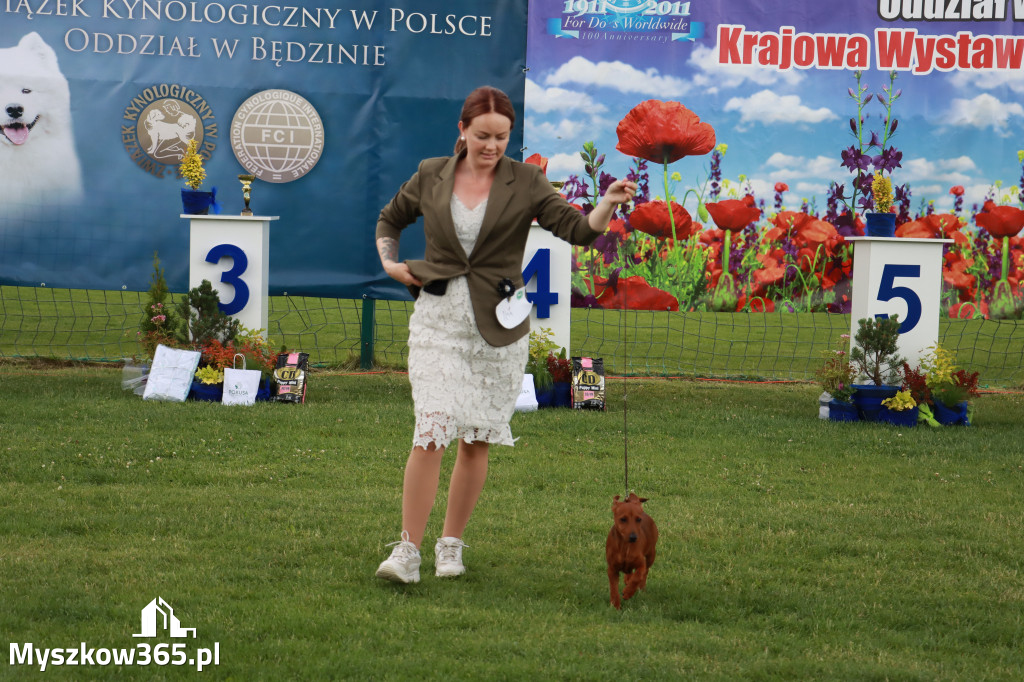 Fotorelacja I: Krajowa Wystawa Psów Rasowych w Gniazdowie Gmina Koziegłowy