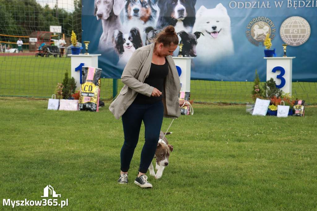 Fotorelacja I: Krajowa Wystawa Psów Rasowych w Gniazdowie Gmina Koziegłowy