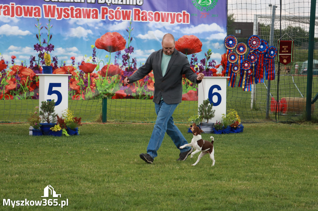 Fotorelacja I: Krajowa Wystawa Psów Rasowych w Gniazdowie Gmina Koziegłowy