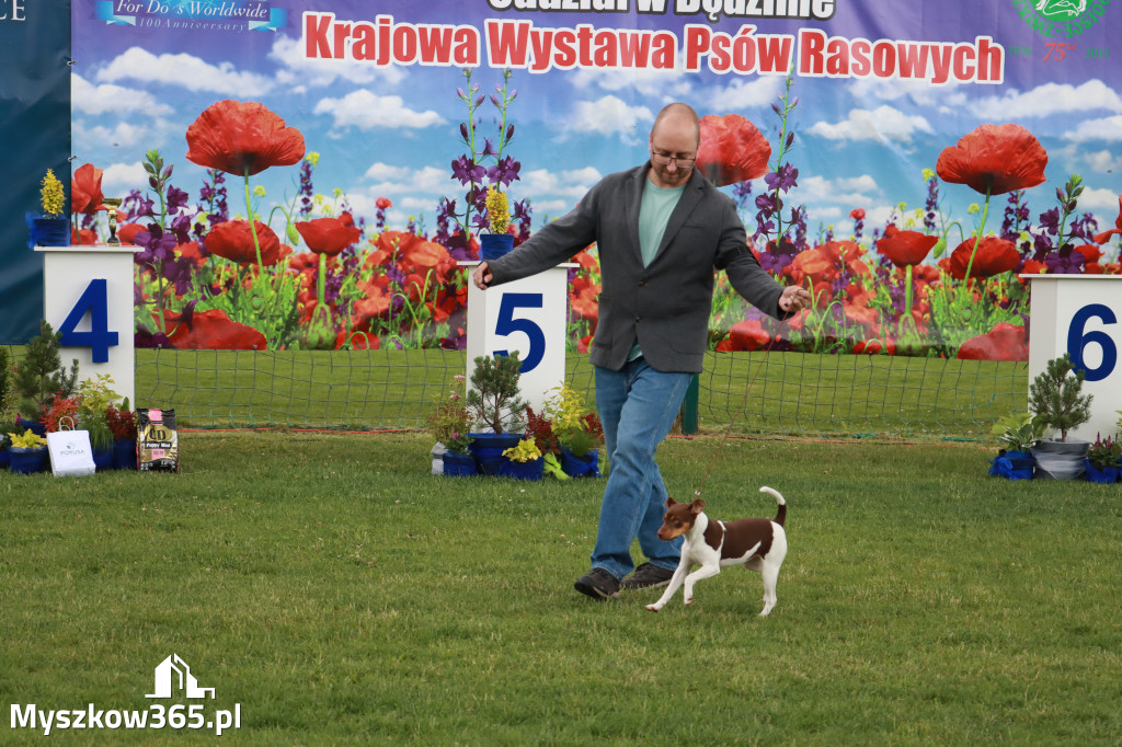 Fotorelacja I: Krajowa Wystawa Psów Rasowych w Gniazdowie Gmina Koziegłowy