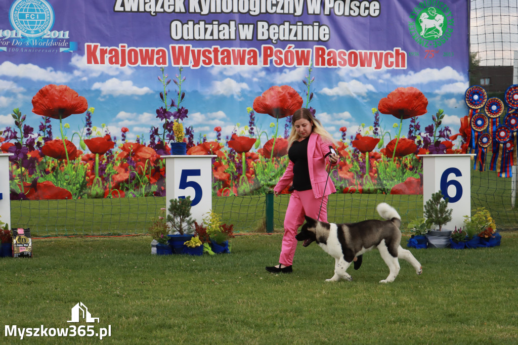 Fotorelacja I: Krajowa Wystawa Psów Rasowych w Gniazdowie Gmina Koziegłowy