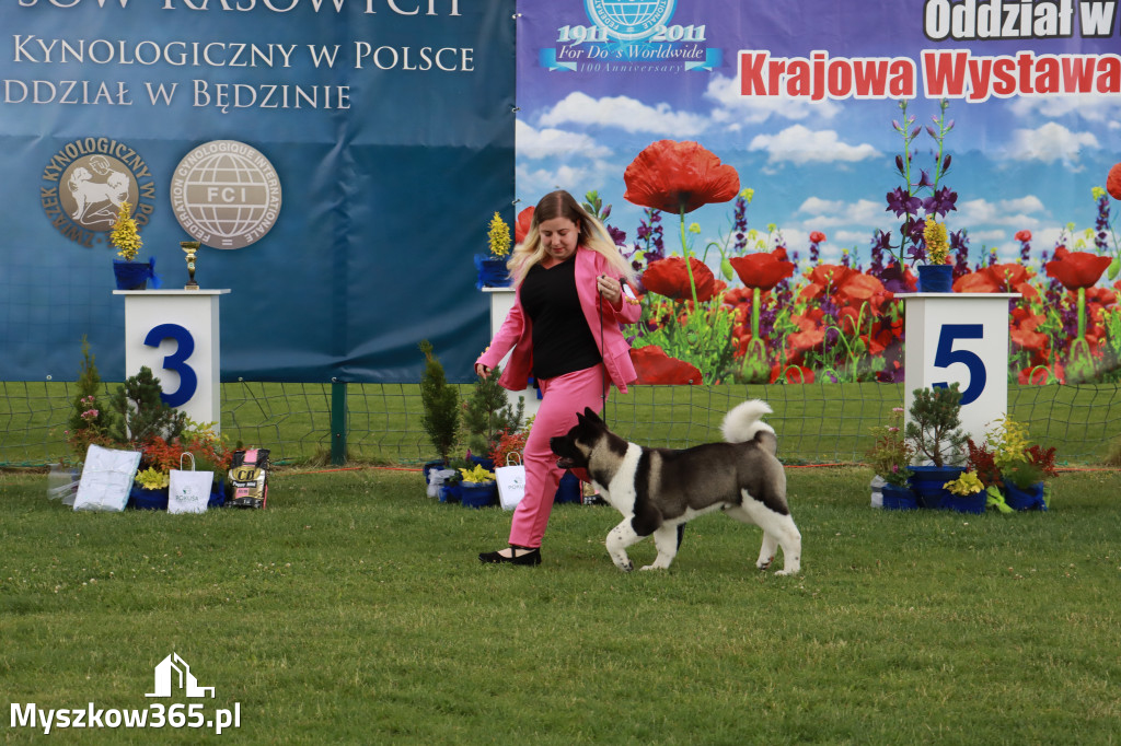 Fotorelacja I: Krajowa Wystawa Psów Rasowych w Gniazdowie Gmina Koziegłowy