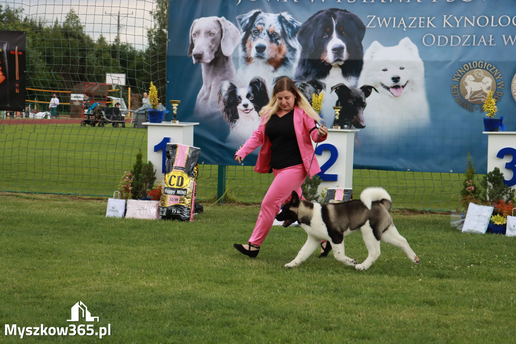Fotorelacja I: Krajowa Wystawa Psów Rasowych w Gniazdowie Gmina Koziegłowy